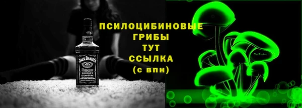 apvp Карпинск