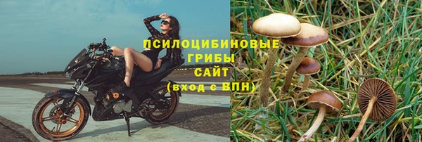 jwh Касимов