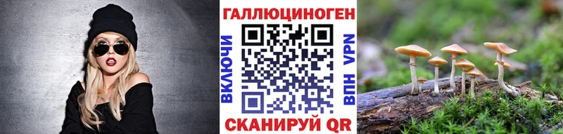 Псилоцибиновые грибы Cubensis  Купить где  Курчатов 